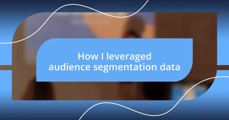 How I leveraged audience segmentation data