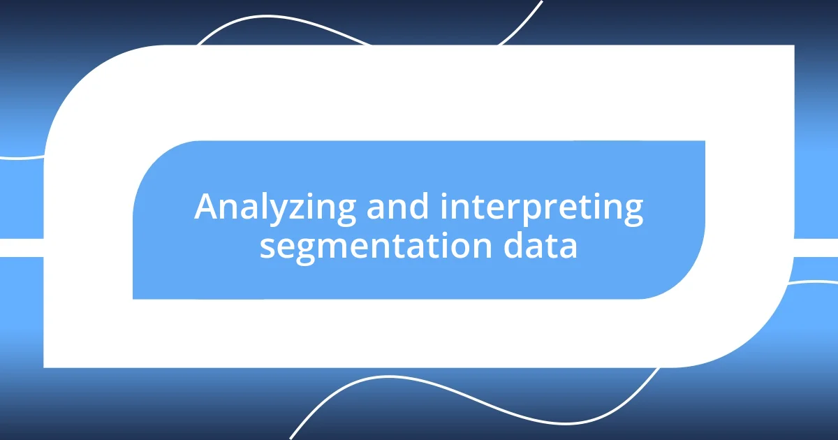 Analyzing and interpreting segmentation data